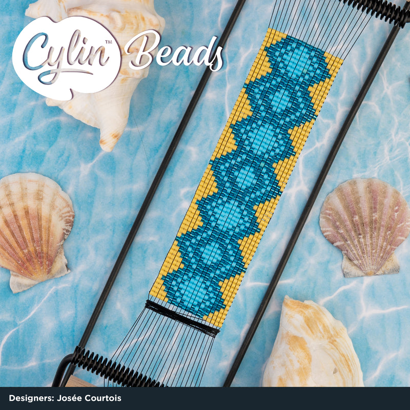 Cylin™  - Silver Lined & Color Lined 25g Bag