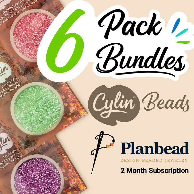 6 Pack of Cylin™ & 2 Month PlanBead Premium